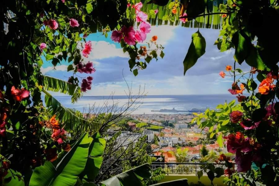 Villa Granny'S House View Funchal  Exterior foto